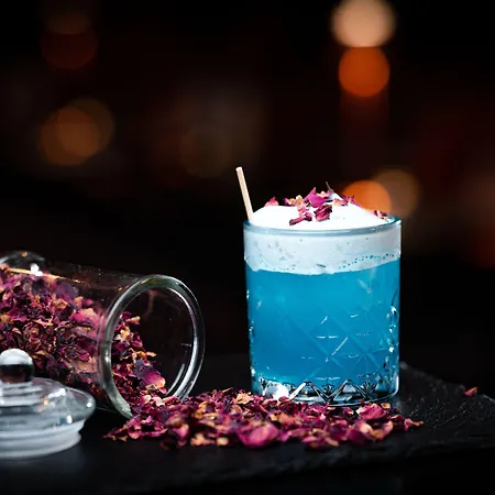 Der Blaue Reiter Design- & Tagungshotel 호텔 카를스루에
